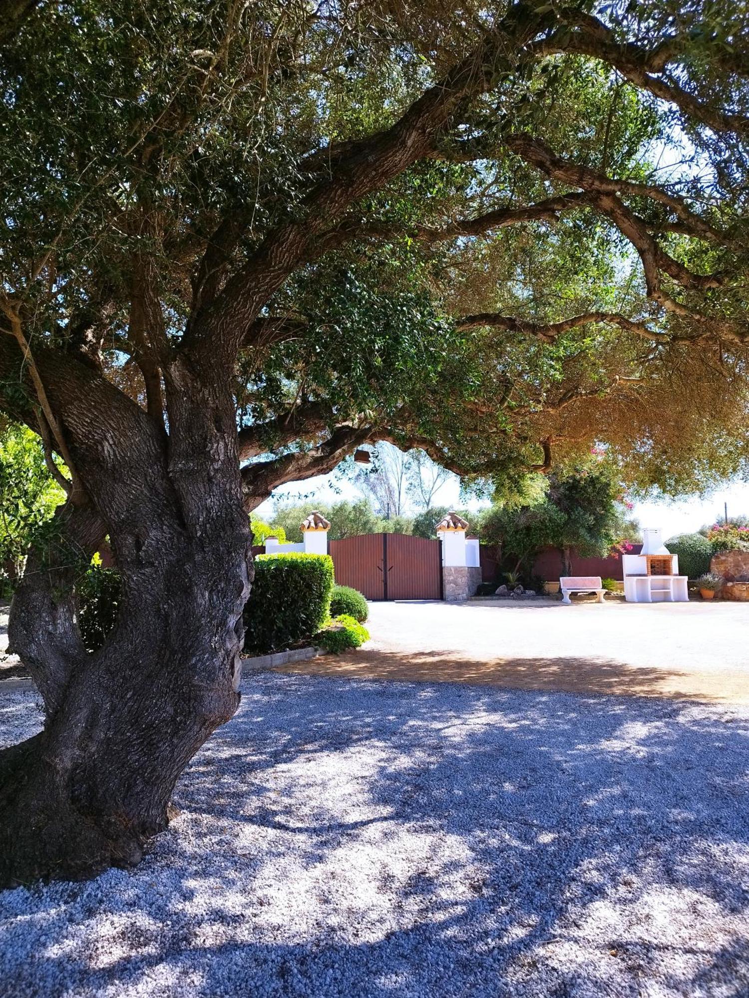 Vivienda Rural Los Madronos Малькосинадо Экстерьер фото