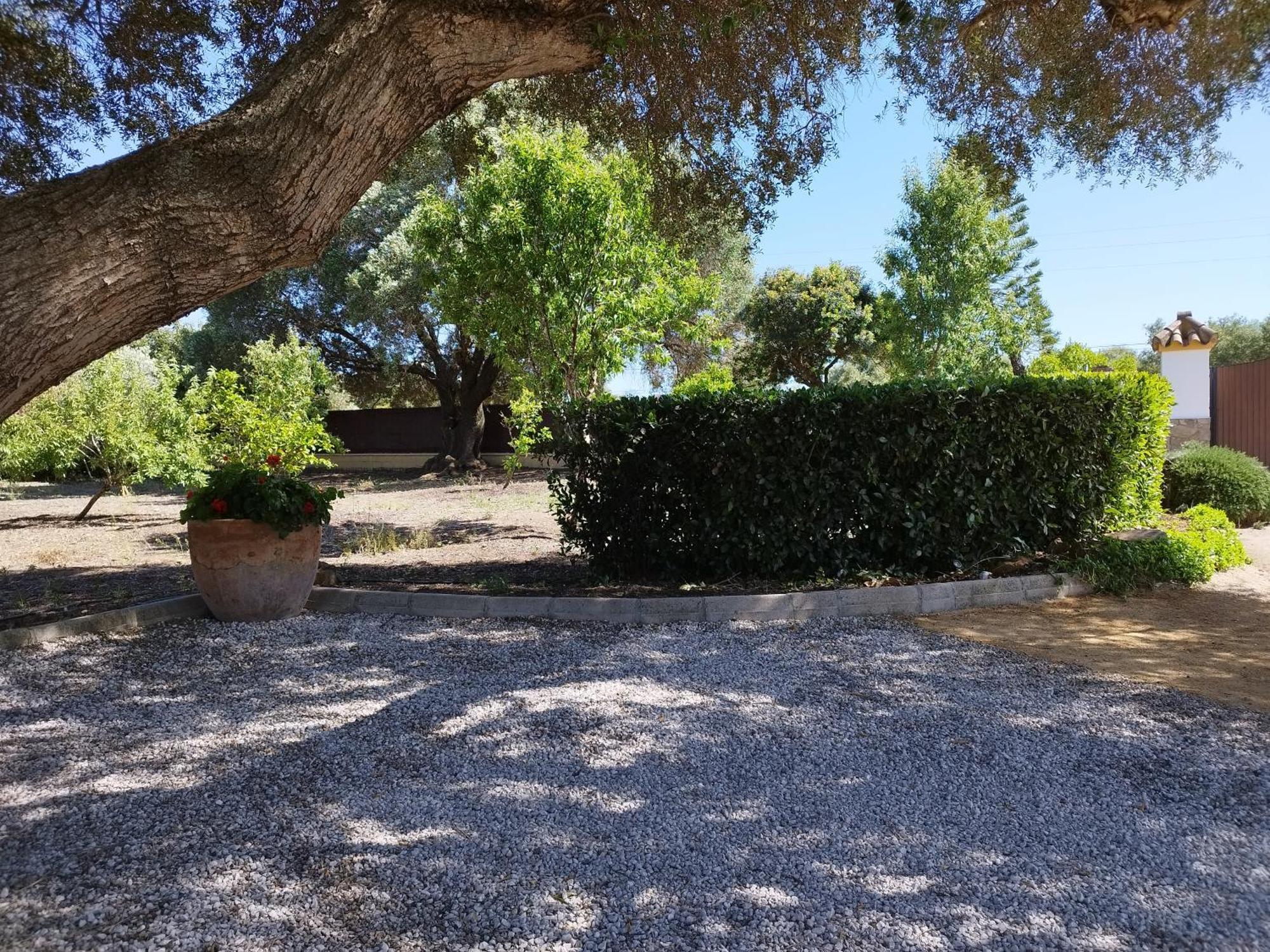 Vivienda Rural Los Madronos Малькосинадо Экстерьер фото